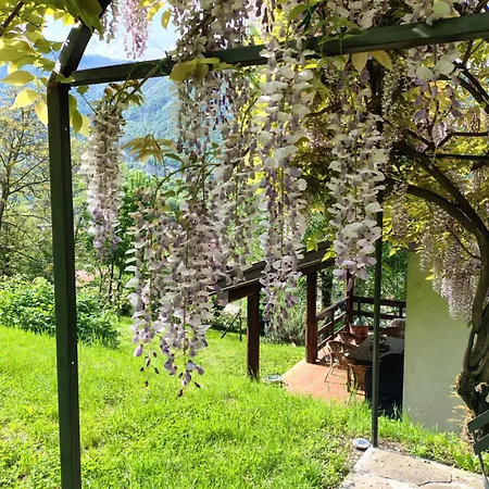 Ca' Del Livello - Retreat With Garden Overlooking Mountains 펜션 Canzo